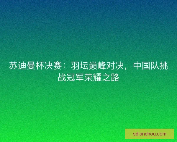 苏迪曼杯决赛：羽坛巅峰对决，中国队挑战冠军荣耀之路