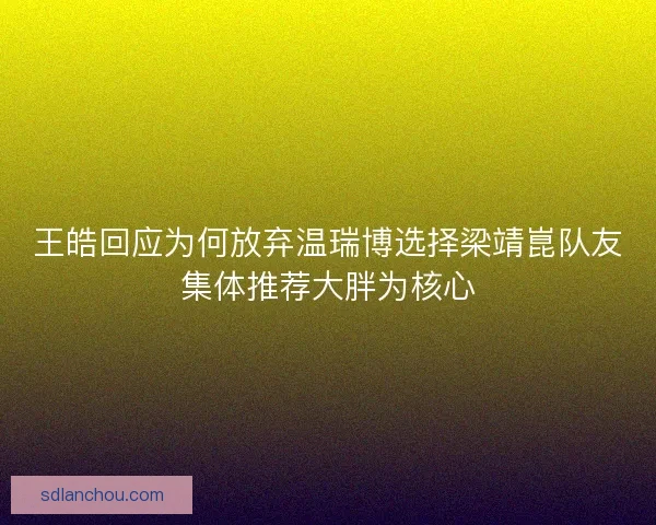 王皓回应为何放弃温瑞博选择梁靖崑队友集体推荐大胖为核心